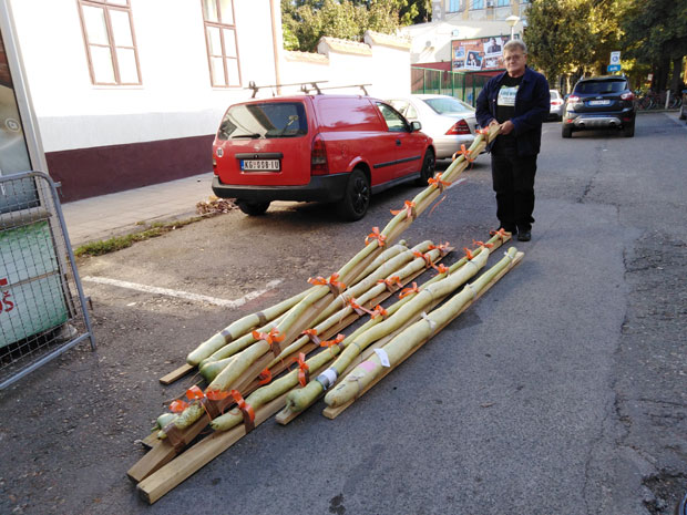 Горан је нови српски гинисовац: Његова лудаја дуга је скоро четири метра (ФОТО) 